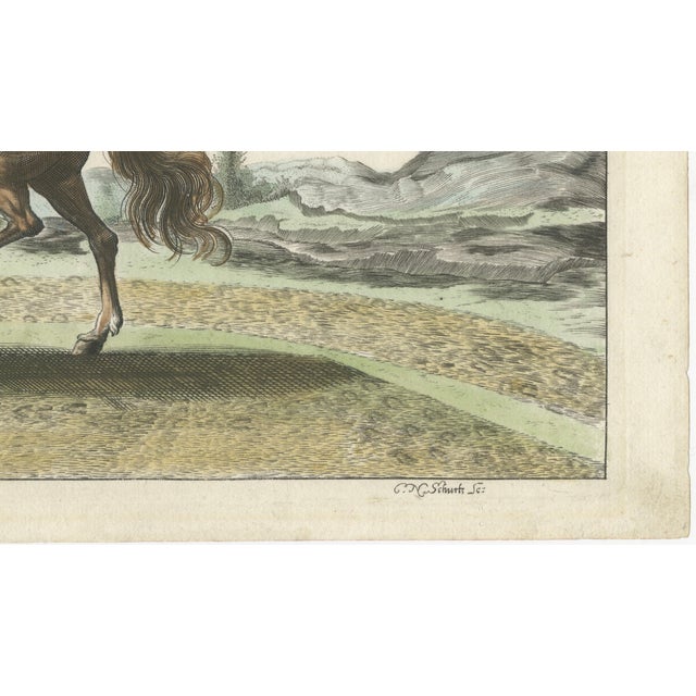Georg Simon Winter von Adlersflügel, Horse Training at the Pillar Baroque Riding School, 1678, Print For Sale - Image 5 of 9