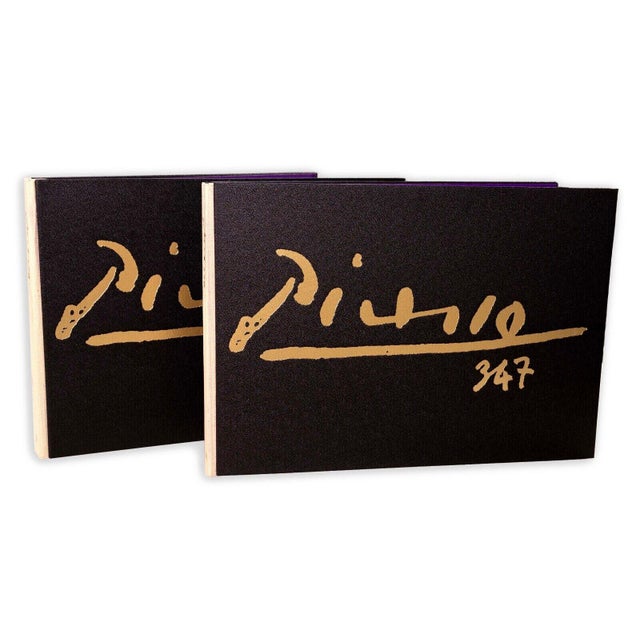 1970s Pablo Picasso 347 Series Volume I & II Books in Clamshell Box 1970 1st Edition For Sale - Image 5 of 11