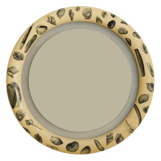 Italian Shell Motif Backlit Wall Mirror, 1960s For Sale
