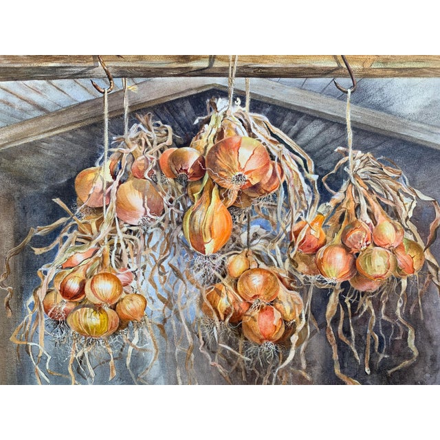 Original vintage watercolor, unframed, by listed artist Gillian Whitaker. Very nice realistic depiction of onions hanging...