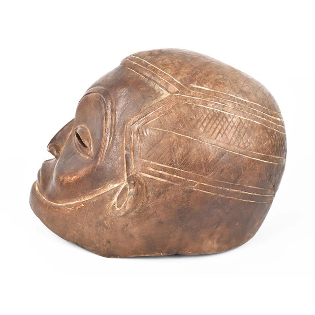 The Suku people, residing in the Democratic Republic of the Congo near the Kwango River, are renowned for their rich...
