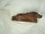 Burnt Umber Early 20th French Carved Walnut Wood Lion For Sale - Image 8 of 9