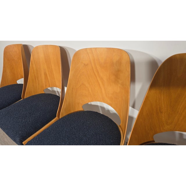Dining Chairs by Radomir Hoffman for Ton, 1950s, Set of 4 For Sale - Image 13 of 15