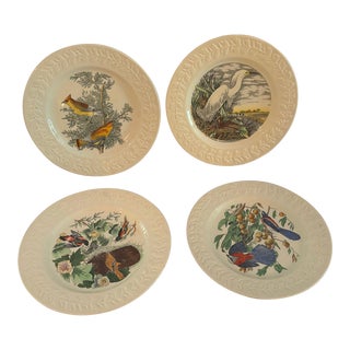 Early 1900s John James Adams Audubon Plates- Set of 4 For Sale