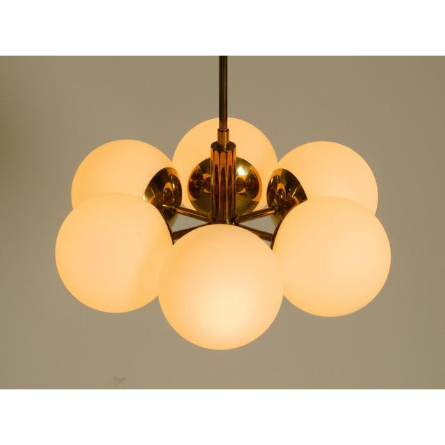 Metal Vintage Brass Pendant Lamp with Six Opal Glass Shades from Kaiser Leuchten, 1960s For Sale - Image 7 of 16