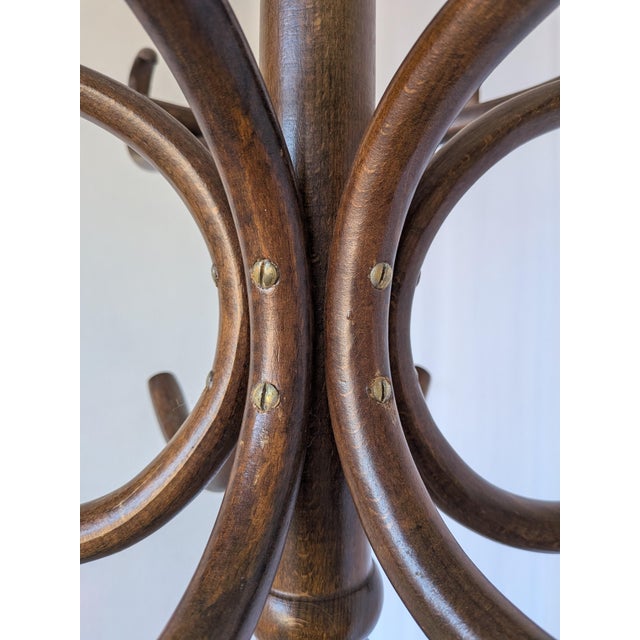 Vintage Bentwood Coat Rack, 1970s For Sale - Image 18 of 18