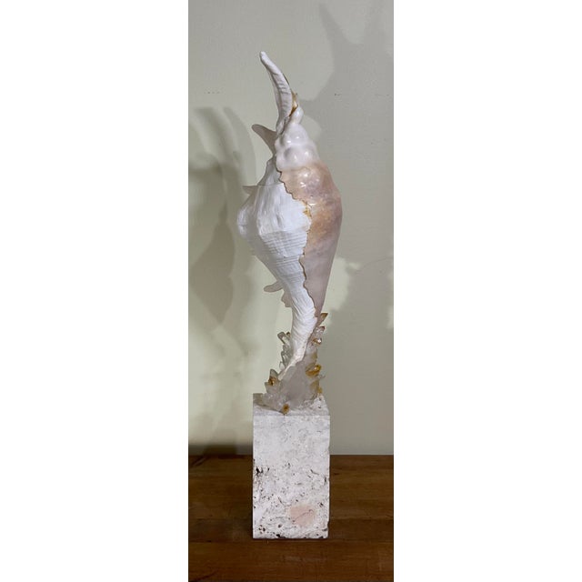 Elevate your interior decor with this breathtaking, one-of-a-kind sculptural masterpiece by acclaimed Delray Beach artist...