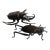 Articulated Bronze Stag Beetle and Cricket Figures For Sale
