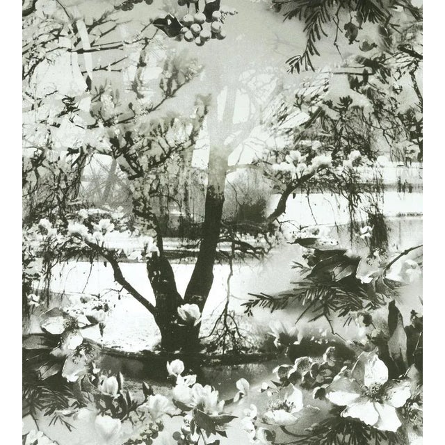 Contemporary Sample - Jean Paul Gaultier for The House of Scalamandré Brume Wallcovering, Ecru/Noir For Sale - Image 3 of 3