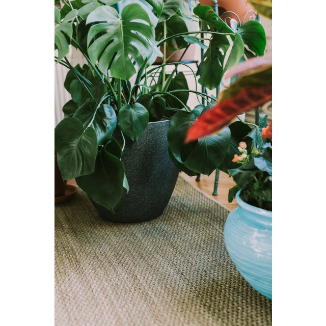 Seaside, made of 100% seagrass, brings the beauty of nature into your home. Known for its rustic look, Seaside is prone to...