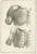 Jules Cloquet, French Anatomical, 1821, Lithograph, Set of 3 For Sale - Image 3 of 10