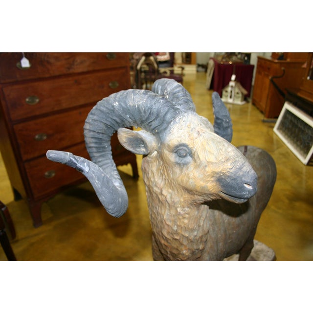Antique Folk Art, Carved Life Size Mountain Goat - Ram For Sale - Image 6 of 15