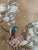 Beautiful Framed East Asian Botanical and Bird Painting For Sale - Image 11 of 12