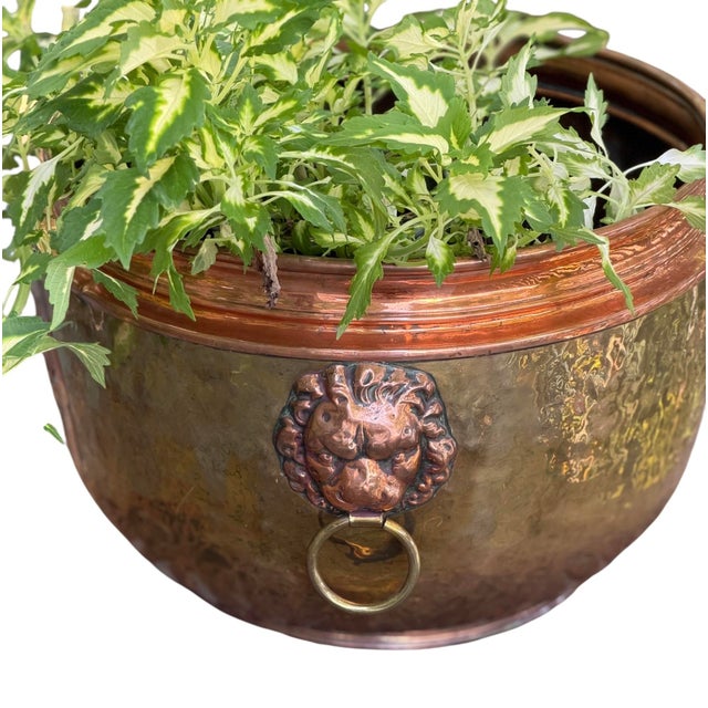 French Country Large 14" Antique French Repoussé Copper Jardinière, 19th Century Alliance Coat of Arms Cachepot, Lion Head Handles, French Planter For Sale - Image 3 of 15