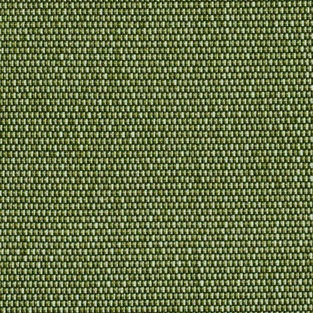 Contemporary SAMPLE - Schumacher Cooper Indoor/Outdoor Fabric In Green For Sale - Image 3 of 3