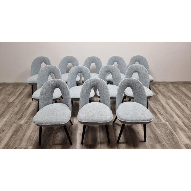 Dining Chairs by Antonin Suman, 1960s, Set of 12 For Sale - Image 13 of 15