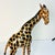 Boho Chic 1970s Vintage Safari Boho Chic Italian Leather Wrapped Giraffe and Leopard Figurals - A Pair For Sale - Image 3 of 18