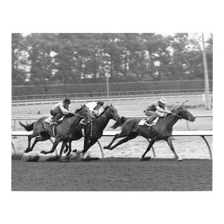 1973 Los Angeles Horse Racing Photograph by Don Ware For Sale