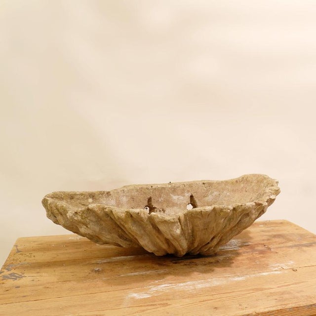 Antique Concrete Shell Bird Bath For Sale - Image 11 of 14