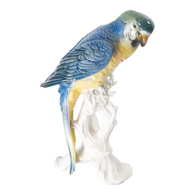 Early 20th Century German Porcelain Macaw Parrot Figure by Karl Ens For Sale