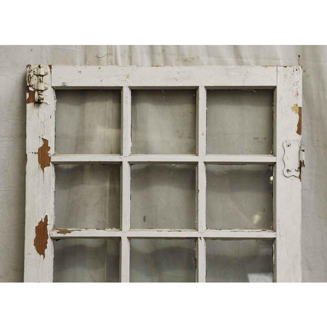Distressed 24 Panel Window Chairish