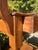 Late 19th Century Antique 19th Century Wooden Washstand With Scrolled Gallery, Drawer and Lower Shelf For Sale - Image 5 of 7
