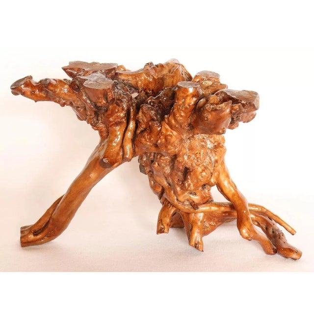 Late 19th Century Wabi Sabi Japanese Lacquered Root Stand For Sale In Chicago - Image 6 of 6