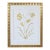 Original Graphite & Gouache Botanical #2 by Katie Binkley For Sale