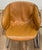 Vintage Flynn Dining Chairs by Gastone Rinaldi for Thema, a Pair For Sale - Image 11 of 17