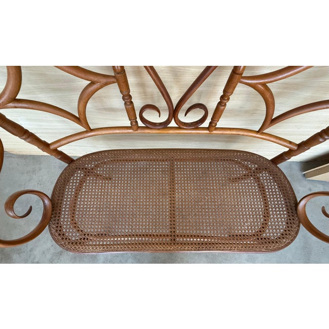 Wood 20th Century Bentwood Sofa in the Thonet Style, circa 1925, Caned Seat For Sale - Image 7 of 18