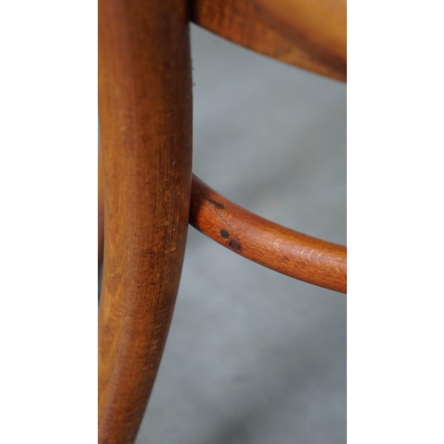 Dining Chairs from Thonet, Set of 4 For Sale - Image 17 of 18