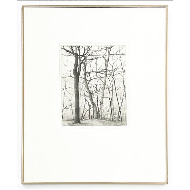 1970s “Crown Hill” Abstract Landscape Etching by Bryan Kay For Sale In Orlando - Image 6 of 6