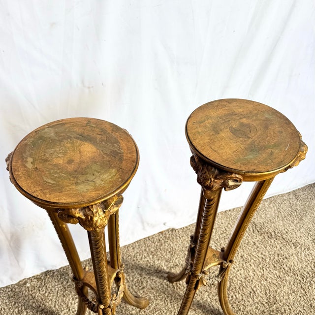 Vintage Neoclassical-Style Carved Ram Head Giltwood Pedestals/Gueridon Stands - A Pair For Sale In Miami - Image 6 of 8