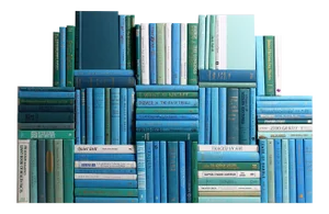 Decorative Books - Ocean Book Wall - Set of 100 Blue Books