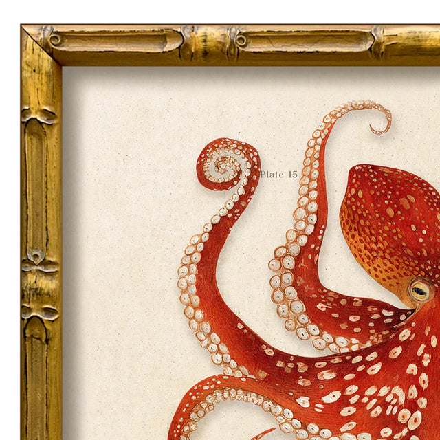 Various Artists Contemporary Reproduction of Vintage "Red Octopus" Giclee Print, Framed For Sale - Image 4 of 4