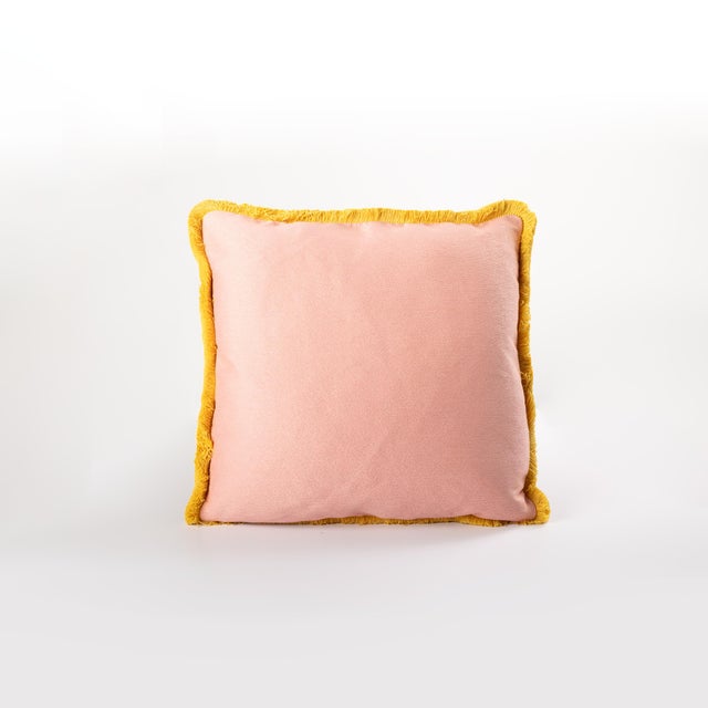 Simple Ballet on both sides. Dimensions: 20" L x 20" W each; two pillows included in purchase Invisible zipper, Samuel &...
