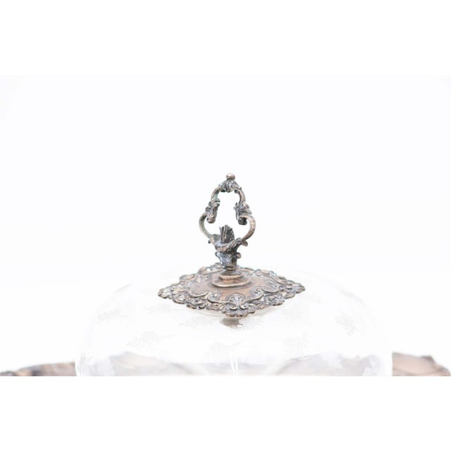 Cheese Dish with Embossed Silver Base For Sale - Image 4 of 5