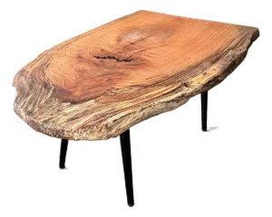 Live Edge Coffee Table Organic Mod Style