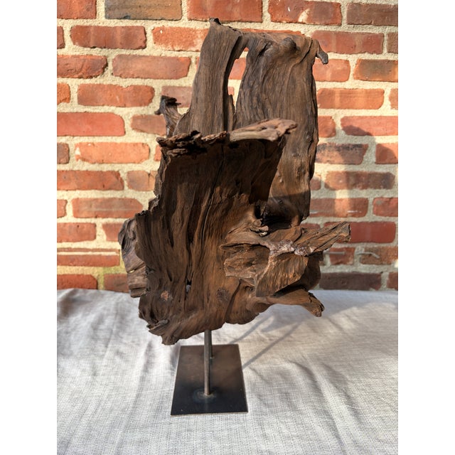 Wood Vintage Teak Wood Root Sculpture on Metal Stand For Sale - Image 7 of 17