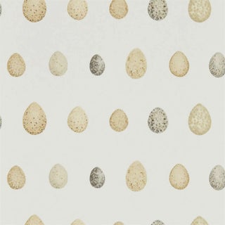 Sanderson Nest Egg Wallpaper in Corn Graphite - a Sample For Sale