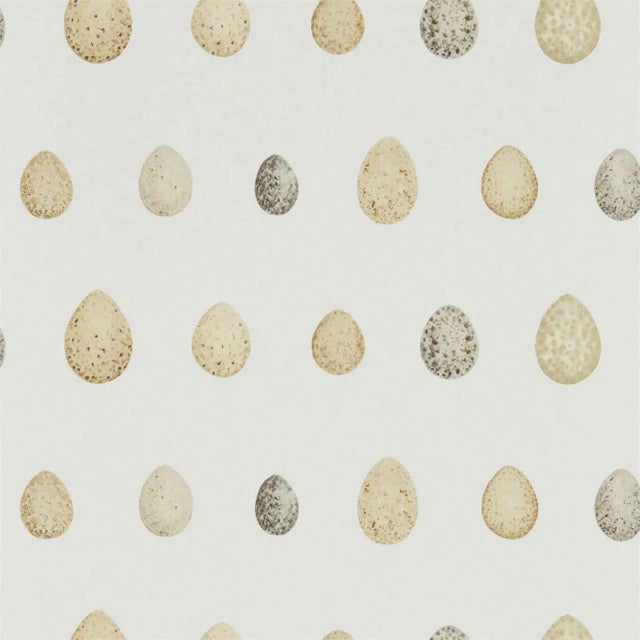Sanderson Nest Egg Wallpaper in Corn Graphite - a Sample For Sale