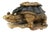 Mid-Century Glass Turtle Paperweight For Sale