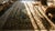 Spectacular Blackground Color in a Traditional Baroque Style Antique French Needlepoint Rug For Sale - Image 9 of 11