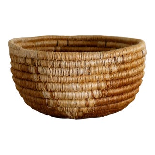 Native American Style Pine Needle and Natural Fiber Coil Basket or Bowl For Sale