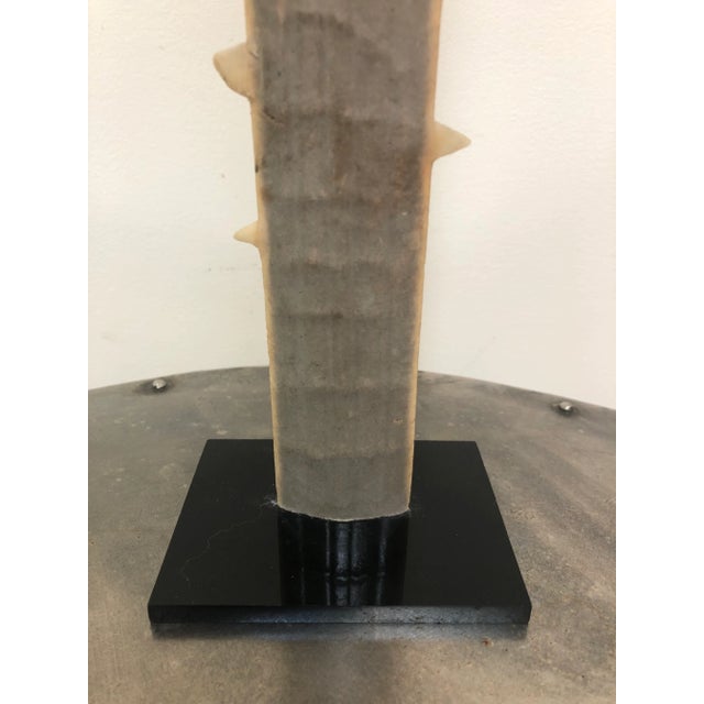 An authentic sawtooth bill from a sawtooth shark, mounted on a black lucite base, dating from the 60’s or 70’’s, with...