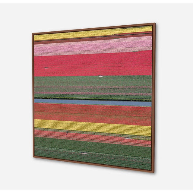 "AV_Tulip_Fields_036" Contemporary Aerial View Limited Edition Photograph by Bernhard Lang For Sale - Image 4 of 11