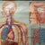 Medical Poster Rollable Wall Chart Respiration Blood Circulation For Sale - Image 4 of 8