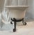White Vintage Cachepot Planter Cream Color on Metal Base For Sale - Image 8 of 8