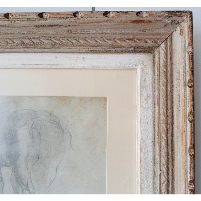 An original drawing or Sketch of a horse, 2 views, side and rear. Signed by the artist Luigi Michelucci. Italian c 1900...