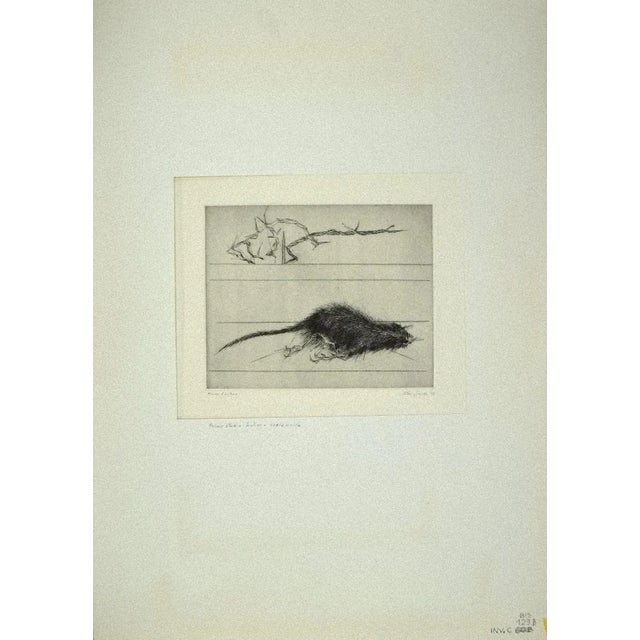 The Rat is an original Contemporary artwork realized in 1972 by the Italian artist Leo Guida. Original B/W Burin on paper....